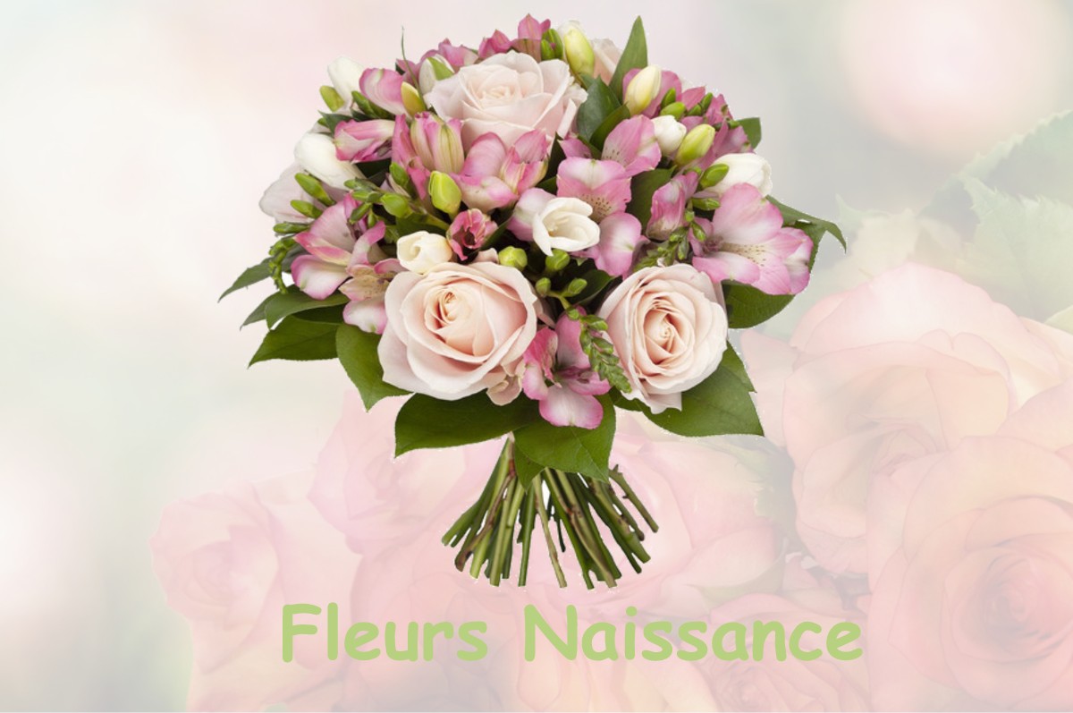 fleurs naissance ARGUT-DESSOUS