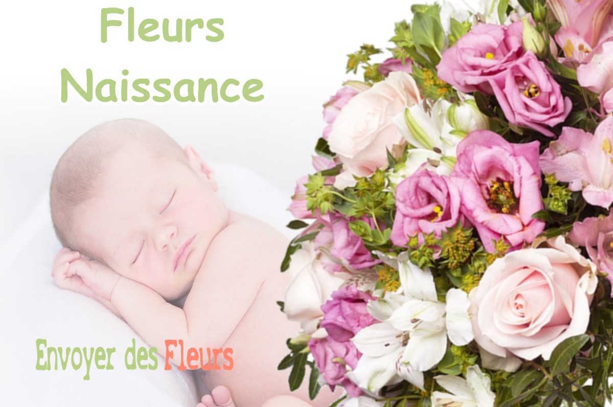 lIVRAISON FLEURS NAISSANCE à ARGUT-DESSOUS